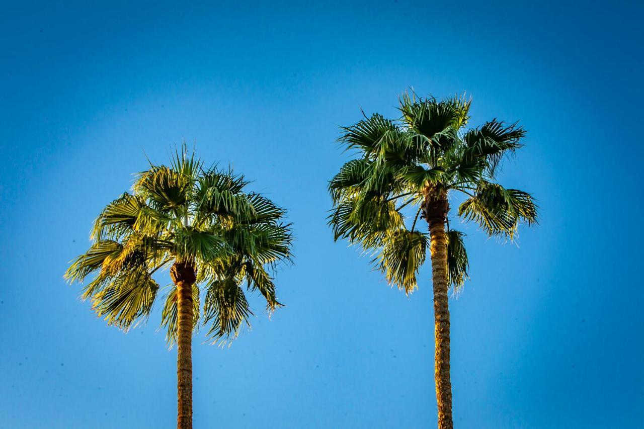 Hotel California Palm Springs Exterior foto